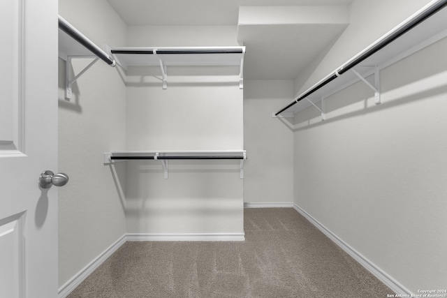 spacious closet featuring carpet floors