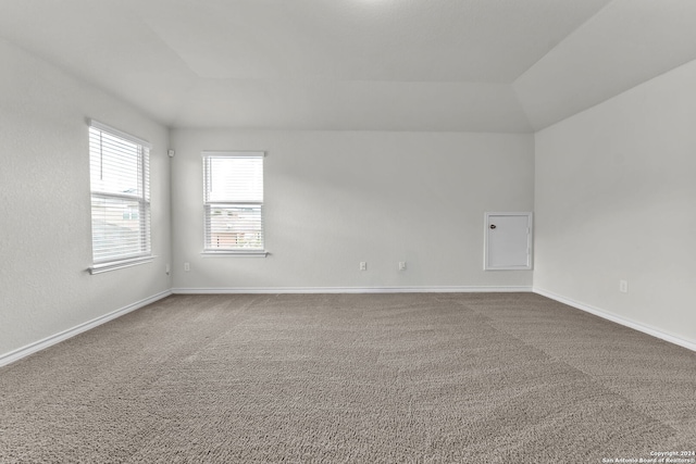 spare room featuring carpet and vaulted ceiling