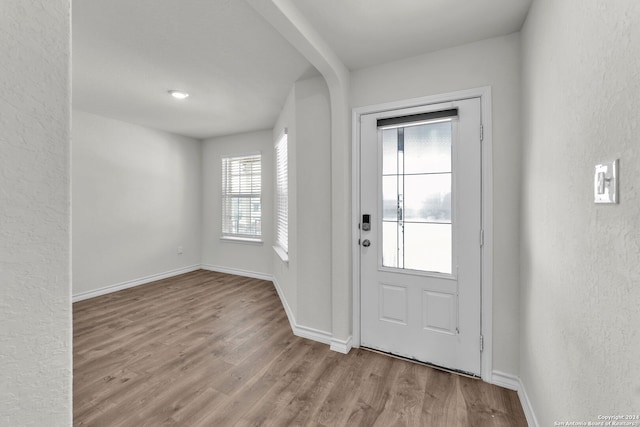 foyer featuring light hardwood / wood-style floors and a healthy amount of sunlight