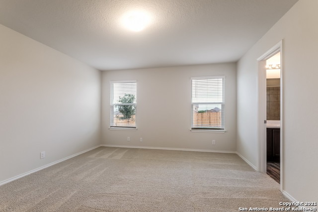 carpeted empty room with plenty of natural light and a textured ceiling