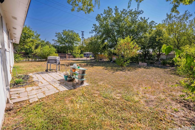 view of yard featuring a patio