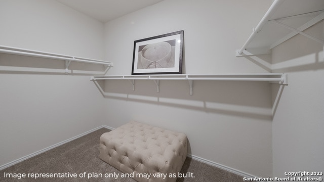 walk in closet with carpet flooring