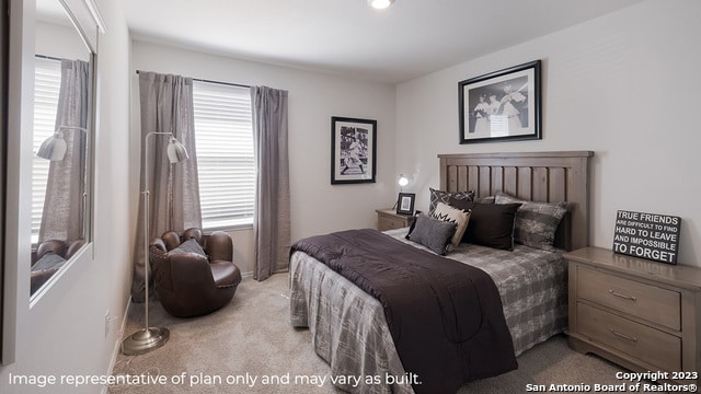 bedroom with carpet