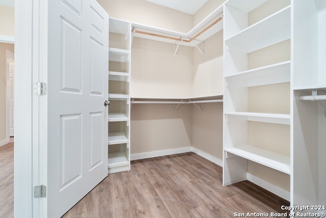 spacious closet featuring light hardwood / wood-style flooring