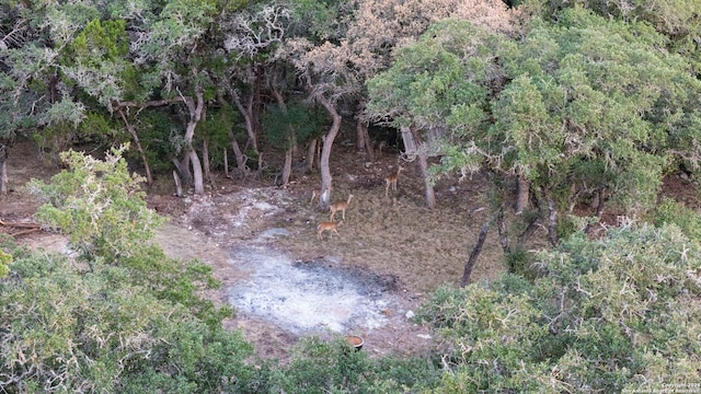 view of nature