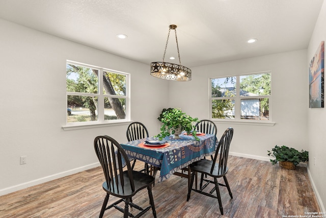 dining space featuring hardwood / wood-style floors