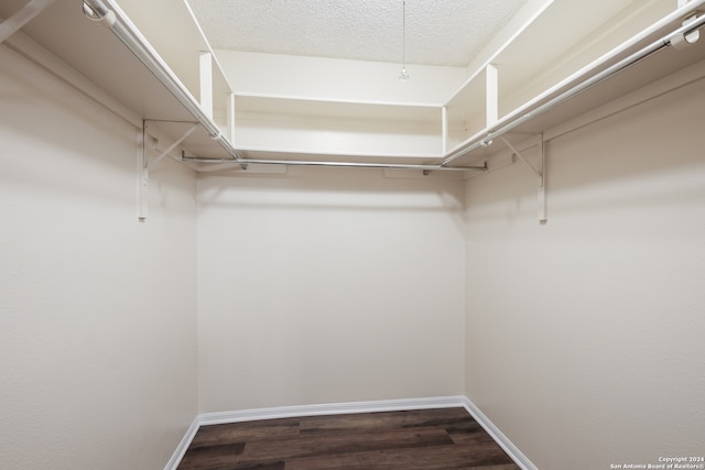 spacious closet featuring dark hardwood / wood-style flooring