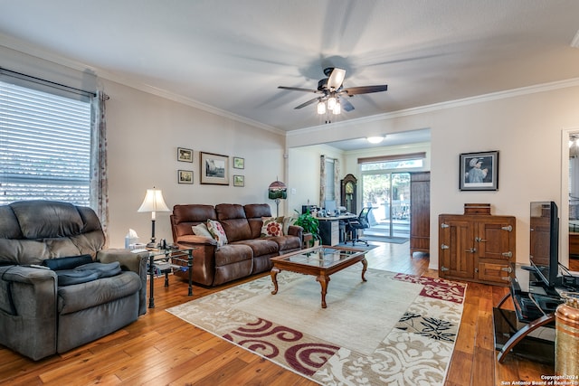 living room with ornamental molding, light hardwood / wood-style flooring, and ceiling fan