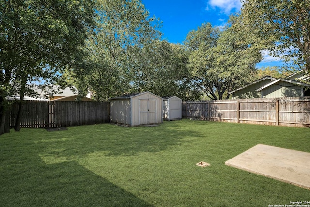 view of yard featuring a storage shed and a patio area