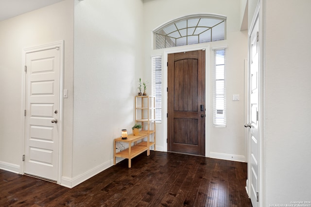 foyer with dark wood-type flooring