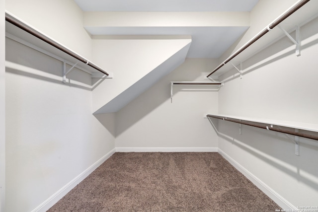 spacious closet with carpet floors