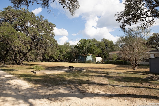 view of yard featuring a storage unit