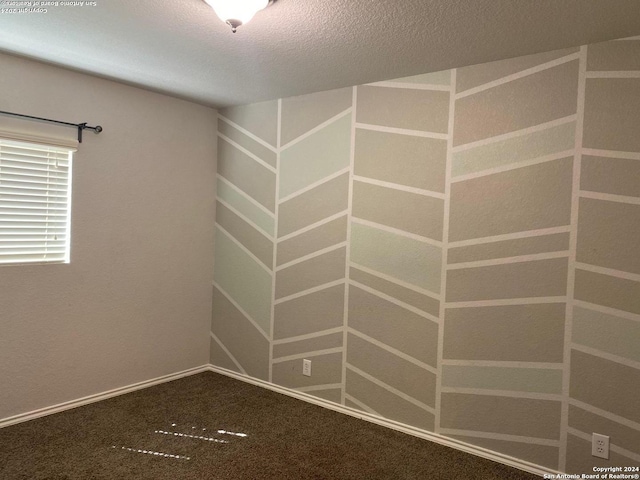 spare room with carpet and a textured ceiling