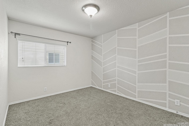 unfurnished room with carpet and a textured ceiling