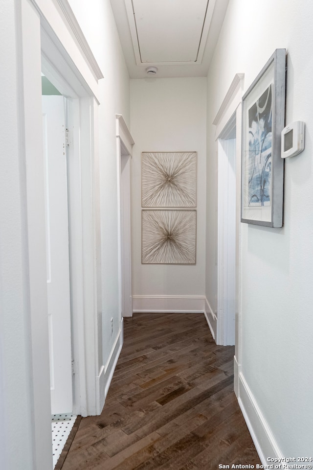 hall with dark hardwood / wood-style flooring