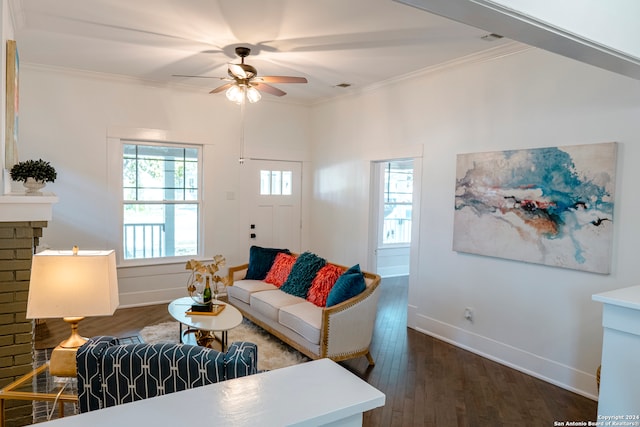 living room featuring ceiling fan, a fireplace, crown molding, and dark hardwood / wood-style flooring