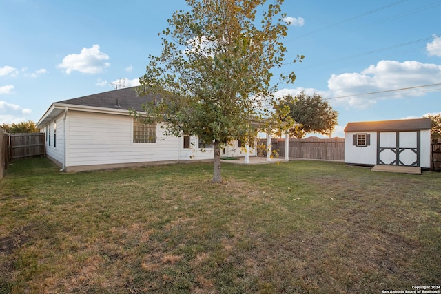 view of yard with a patio and a shed