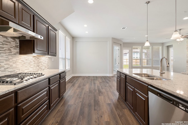 kitchen featuring dark brown cabinetry, stainless steel appliances, dark wood-type flooring, and sink