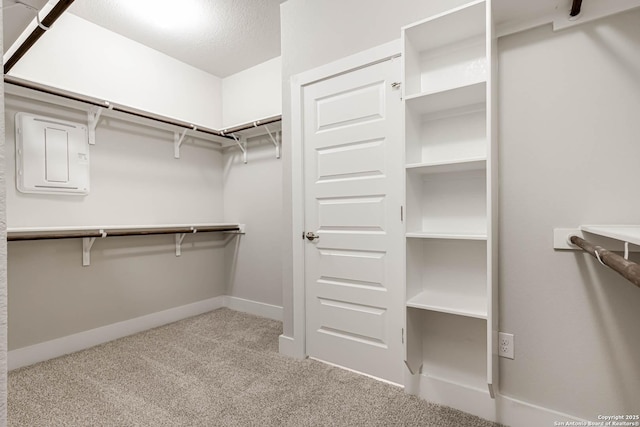 spacious closet featuring light carpet and electric panel