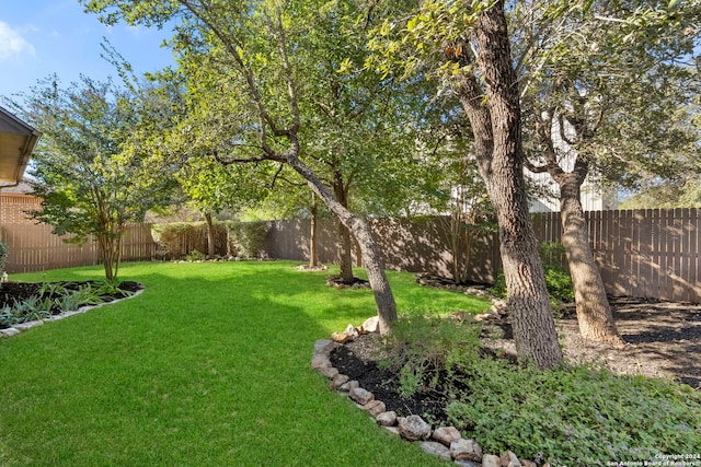 view of yard with a fenced backyard