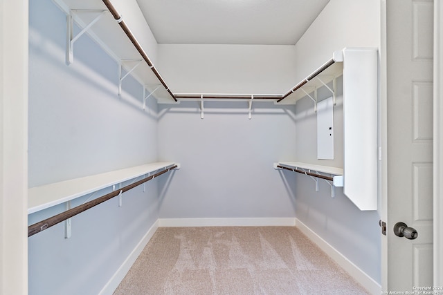 spacious closet with light carpet