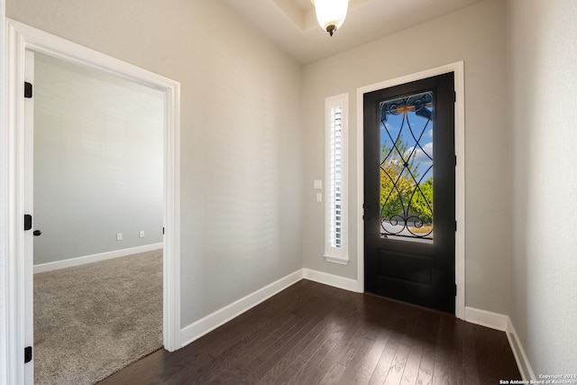 foyer featuring dark hardwood / wood-style floors