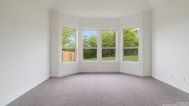 empty room featuring carpet floors