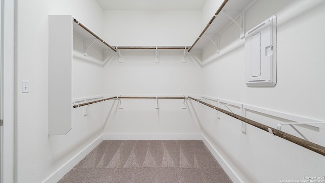 spacious closet with carpet flooring and electric panel