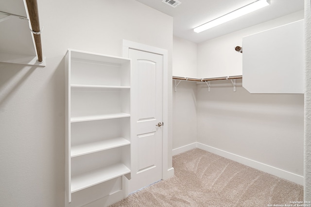 spacious closet with carpet