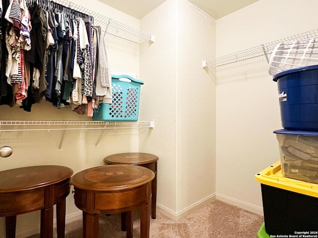 walk in closet with carpet flooring