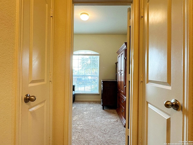 hallway with light colored carpet