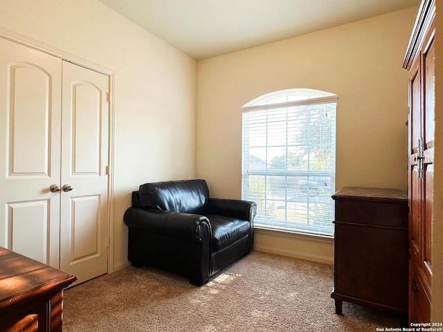 sitting room featuring light colored carpet and a healthy amount of sunlight