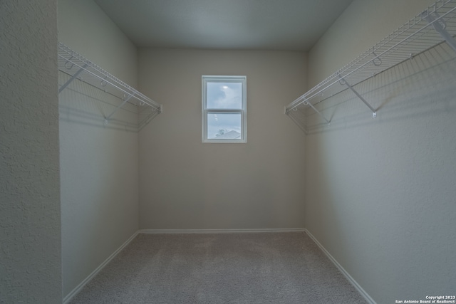 spacious closet featuring carpet floors