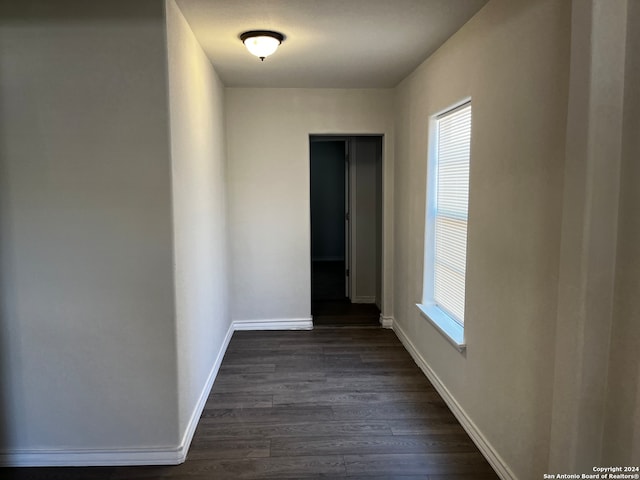 corridor featuring dark wood-type flooring