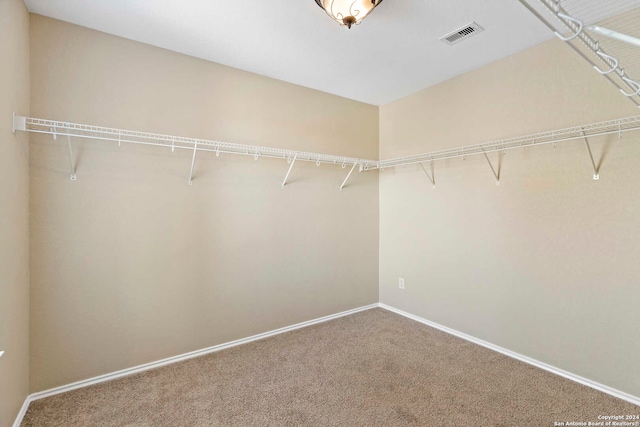 walk in closet with carpet flooring