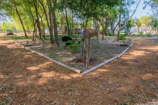 view of jungle gym