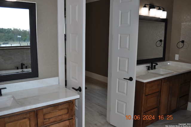 bathroom featuring wood-type flooring and vanity