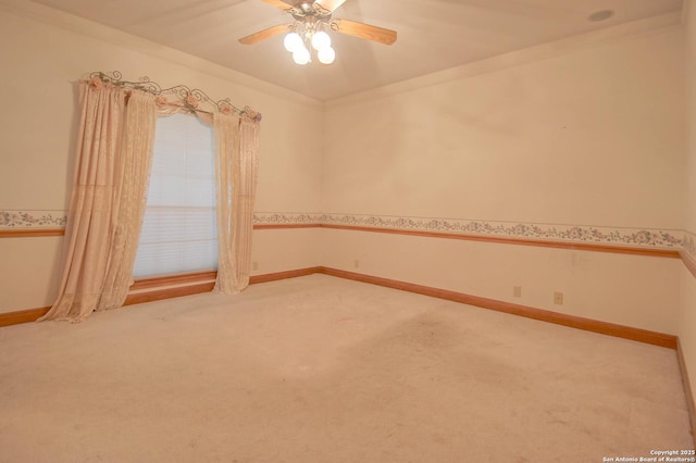 empty room featuring ceiling fan, ornamental molding, and carpet