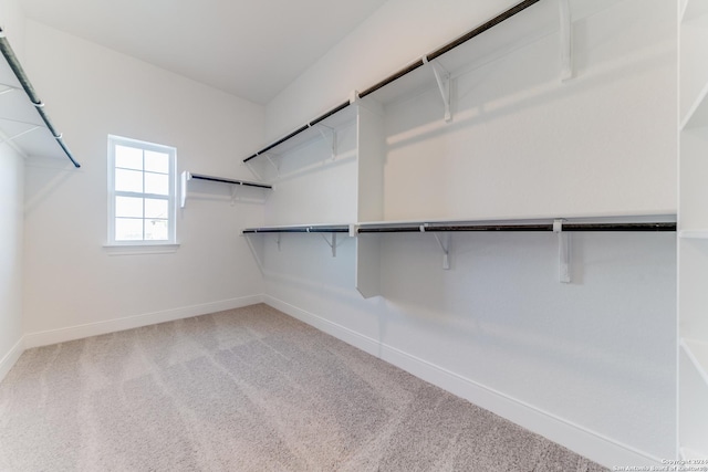 spacious closet with light colored carpet