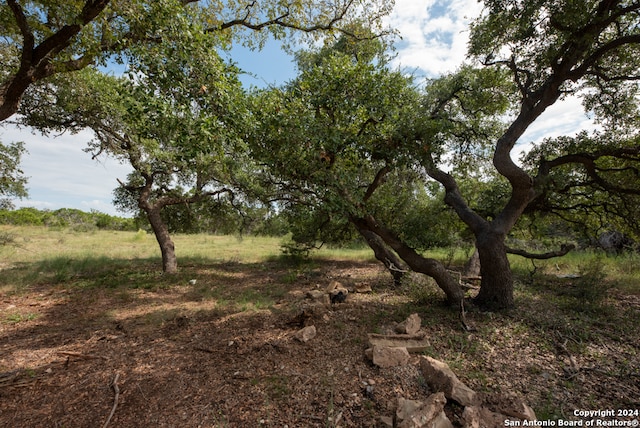 865 Rutherford, Fischer TX, 78623 land for sale