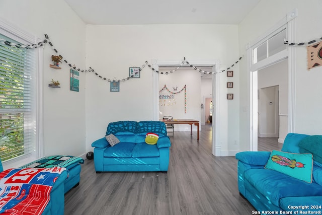 living room with hardwood / wood-style flooring and plenty of natural light