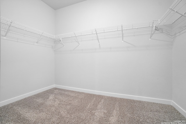 spacious closet with carpet floors