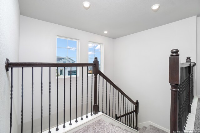 staircase with carpet floors