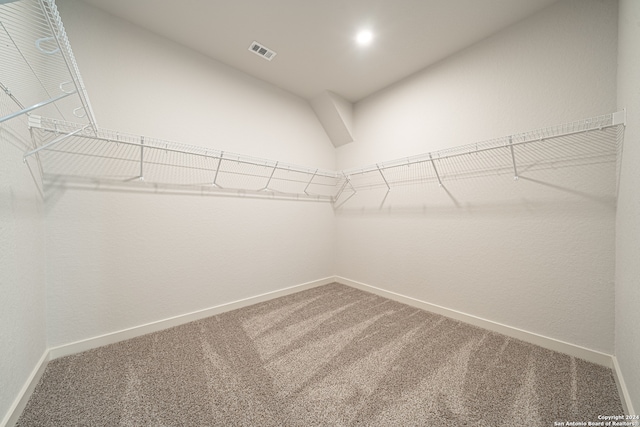 walk in closet with carpet floors