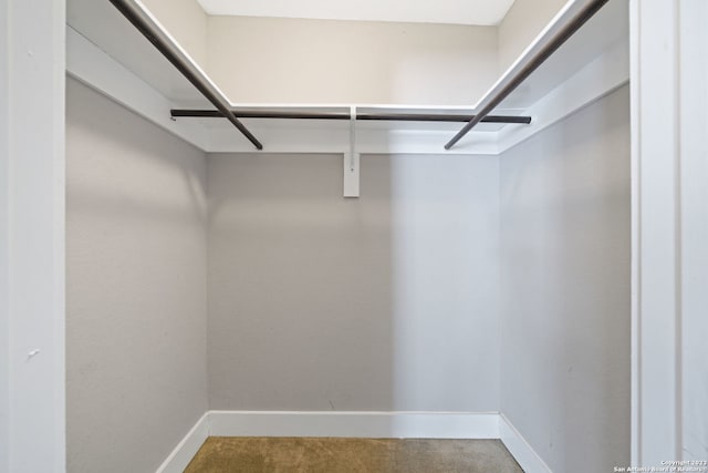 walk in closet with carpet