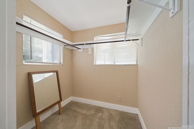 walk in closet with light carpet