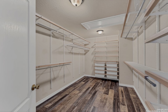 walk in closet featuring dark hardwood / wood-style flooring