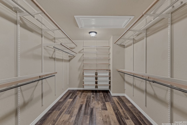 walk in closet with dark wood-type flooring