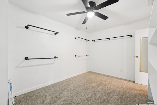 carpeted spare room with ceiling fan