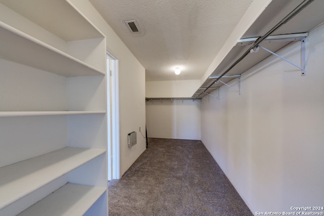 spacious closet with carpet flooring